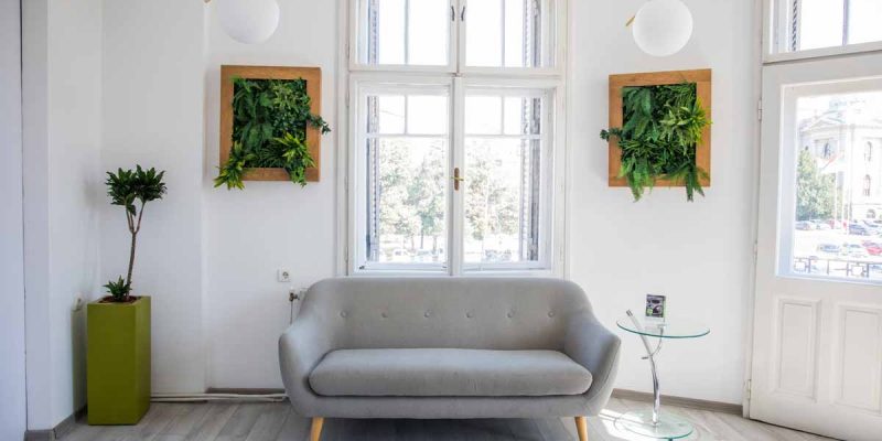 dentist-belgrade-dental-clinic-smile-esthetics-2
